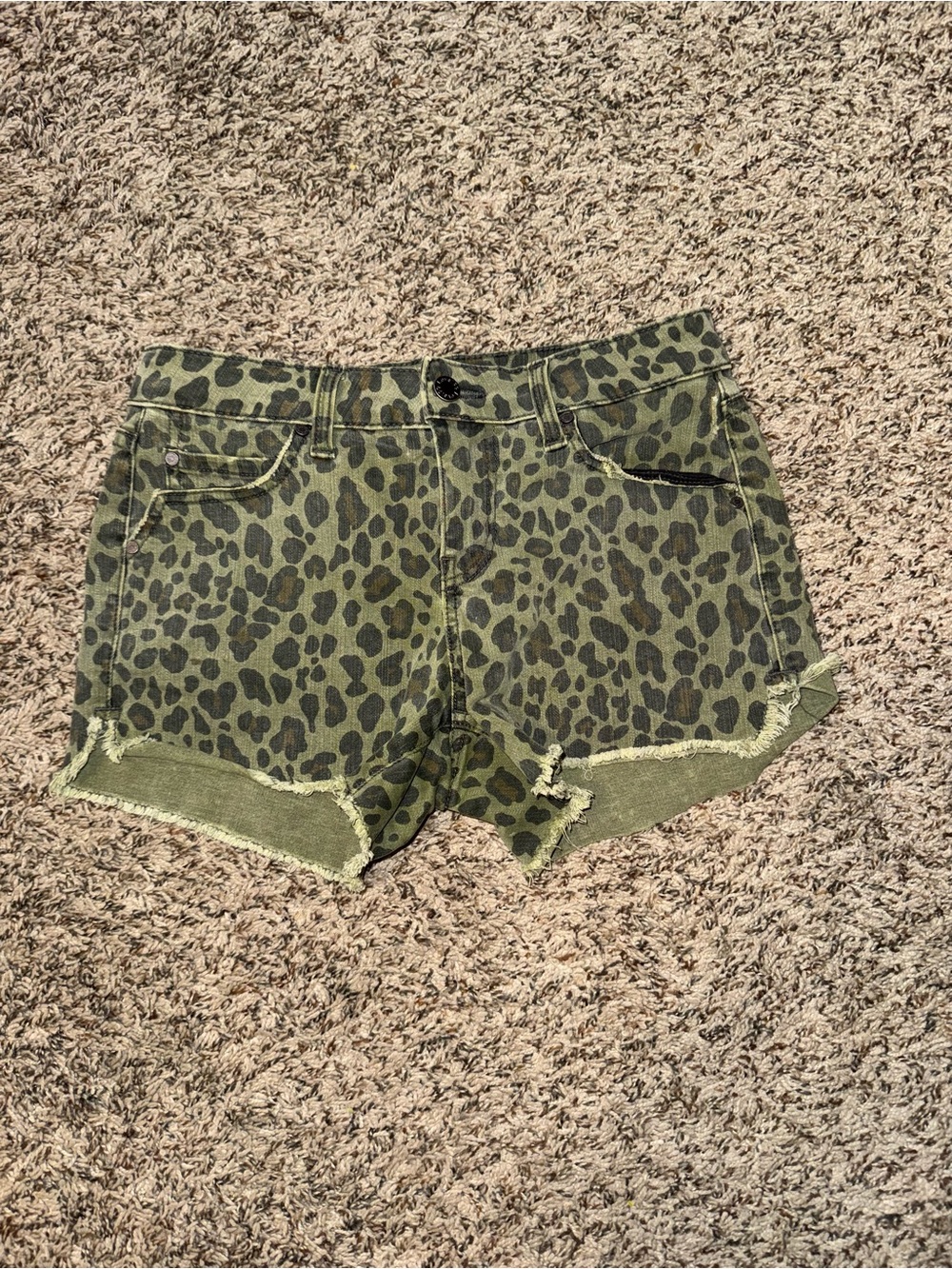 Level 99 Leopard Print Olive Women's Shorts